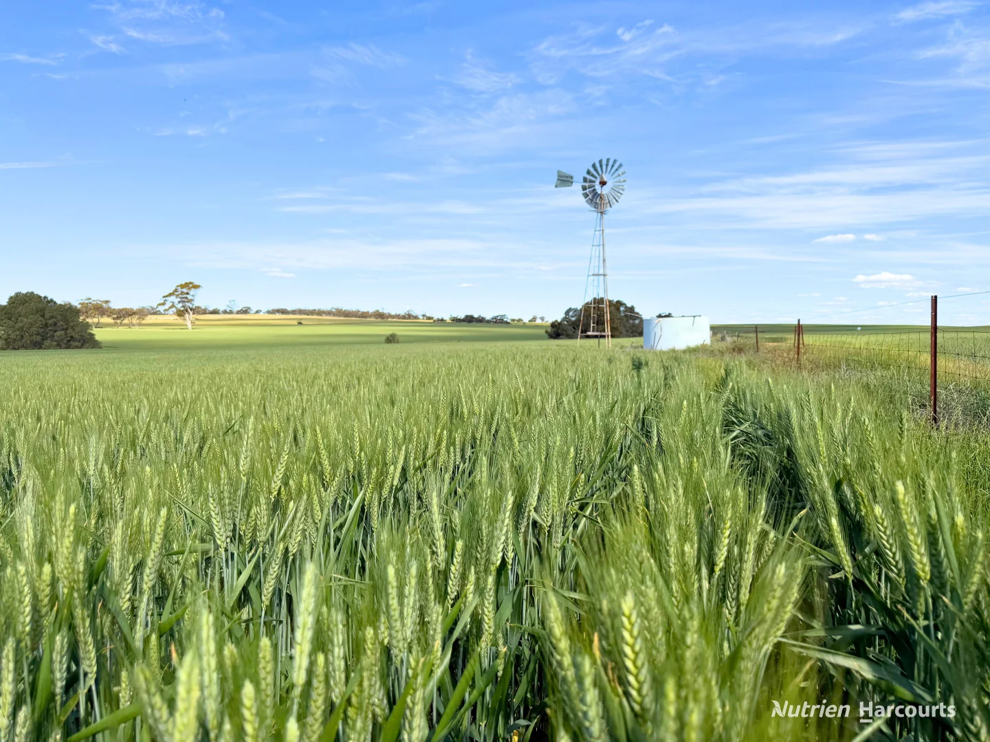 "Mirrabinda" Lot 3882 Brooksbank Road - Image 2